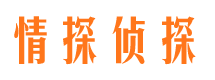 循化外遇出轨调查取证